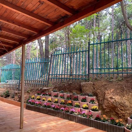 Hotel Gloria Ks Prishtinë Luaran gambar